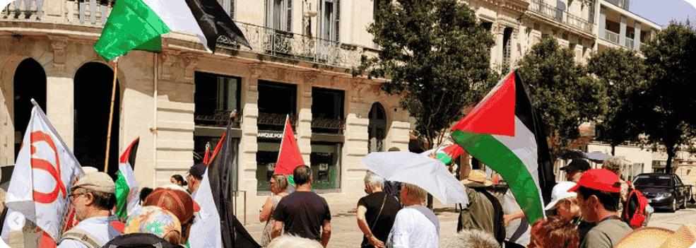 Une photo de manifestation pour la Palestine